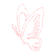 Butterfly White