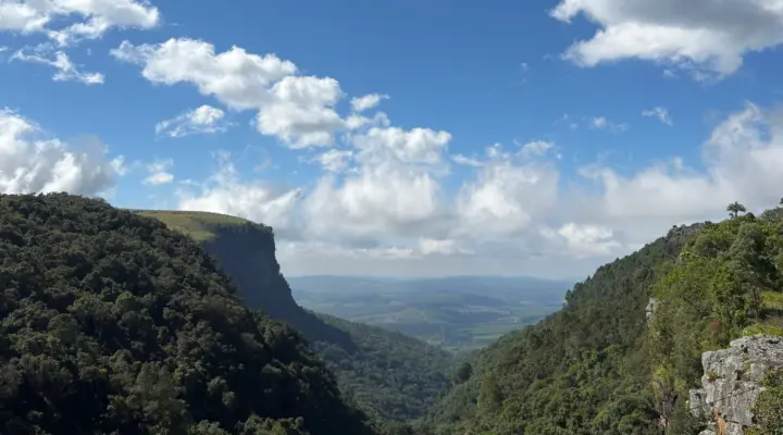 LOCAL IS LEKKER - Why Mpumalanga